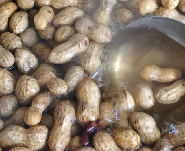 Spiced Salted Boiled Peanuts in Shells [Beginner-Friendly Home-Style Dish Recipe]