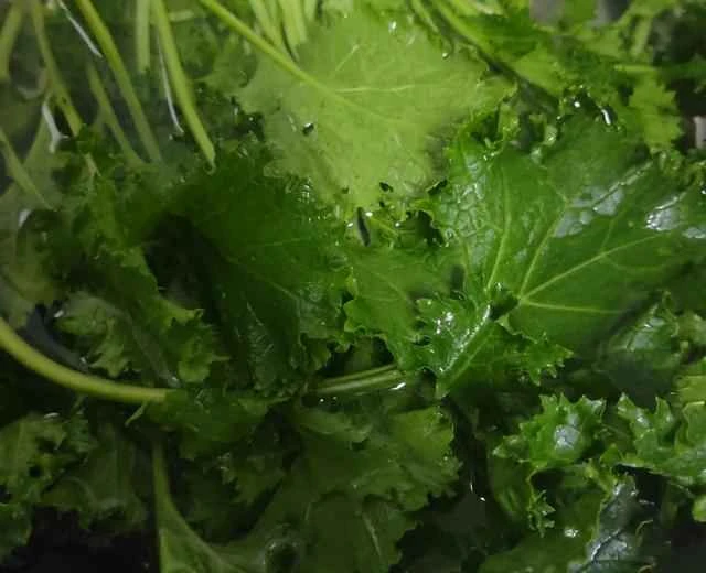 Home-style stir-fried seaweed recipe