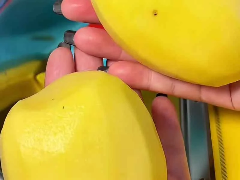 How to make pure milk hand-torn toast: Step 1