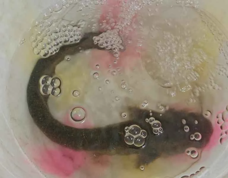 How to make pure milk hand-torn toast: Step 1