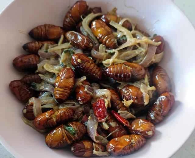 100 Home-Style Dishes: Stir-Fried Silkworm Pupae Recipe