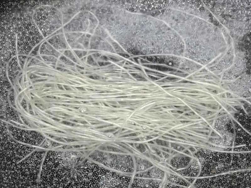 How to make pure milk hand-torn toast: Step 1