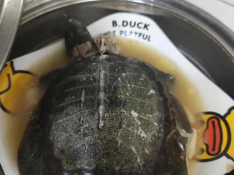 How to make pure milk hand-torn toast: Step 1