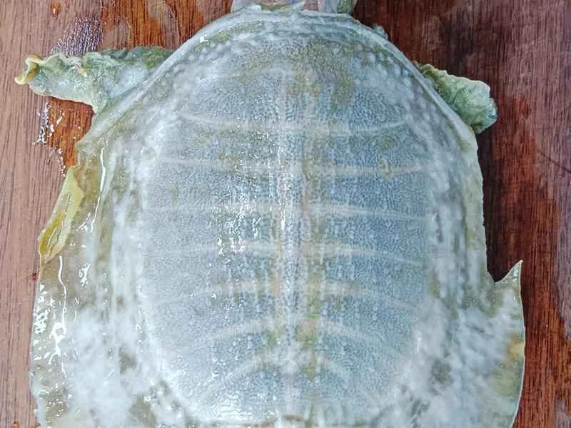 How to make pure milk hand-torn toast: Step 1